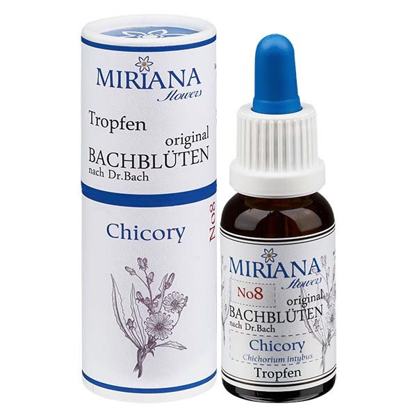 8 Chicory, 20ml Essenz, MirianaFlowers