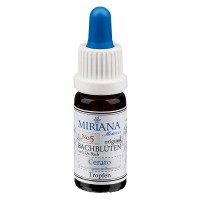 Preview: 5 Cerato, 10ml Essenz, MirianaFlowers Preview: 5 Cerato, 10ml Essenz, MirianaFlowers