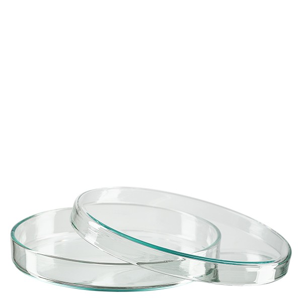 Boîte de Petri en verre 100x5 mm
