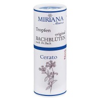 Preview: 5 Cerato, 10ml Essenz, MirianaFlowers Preview: 5 Cerato, 10ml Essenz, MirianaFlowers