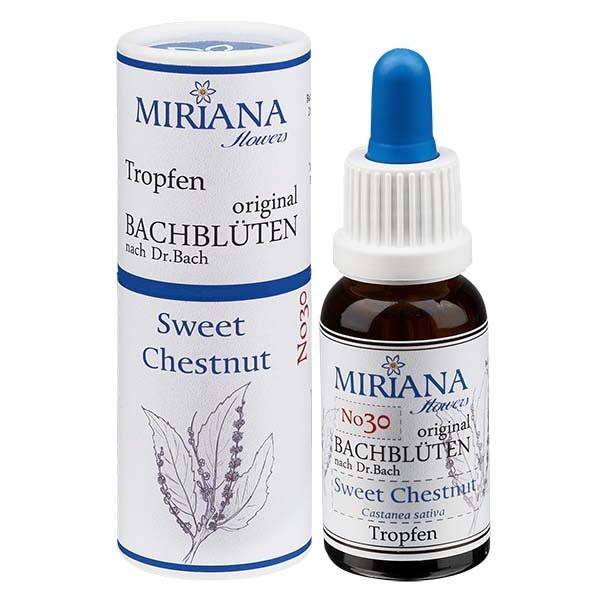 30 Sweet Chestnut, 20ml Essenz, MirianaFlowers