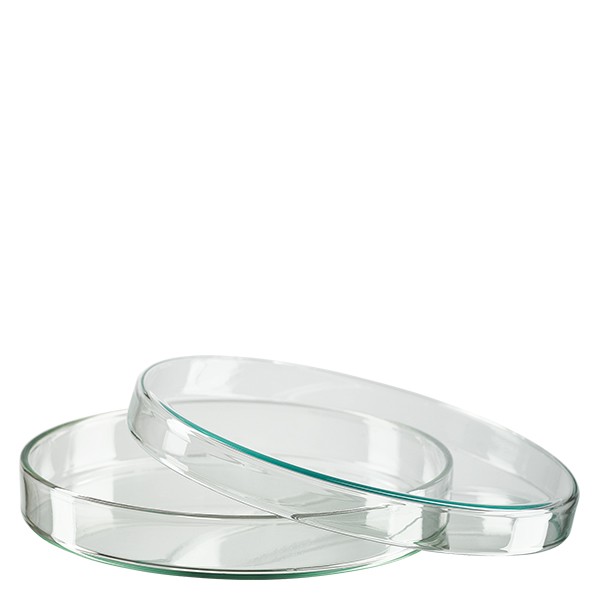 Boîte de Petri en verre 120x20 mm