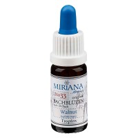 Preview: 33 Walnut, 10ml Essenz, MirianaFlowers Preview: 33 Walnut, 10ml Essenz, MirianaFlowers